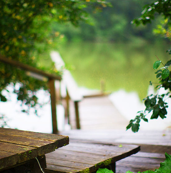 Luxury Lakeview Cabin